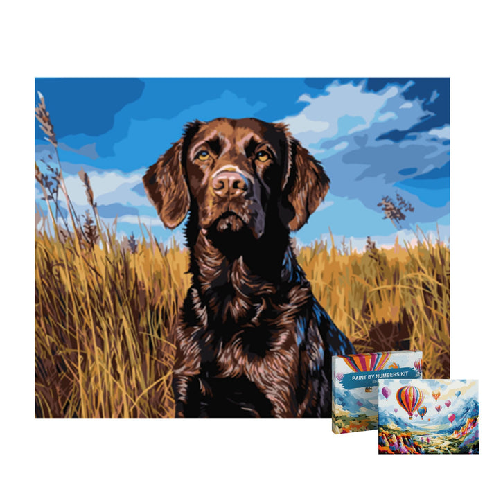 siproduct-20000000004953-20000000004444-f387cae457893cd3810e31c3f14433748fcba7a7