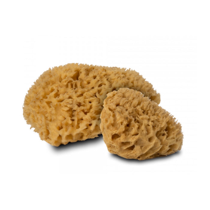 YOKU Medium Natural Sea Sponge